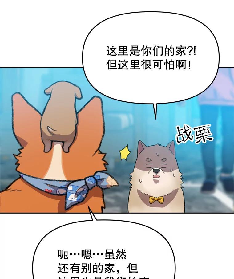 《彩虹桥守望者》99.偶遇李鹏程 第21页