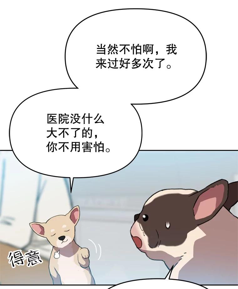 《彩虹桥守望者》99.偶遇李鹏程 第8页