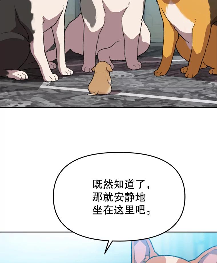 《彩虹桥守望者》99.偶遇李鹏程 第15页