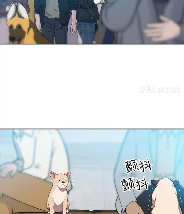 《彩虹桥守望者》99.偶遇李鹏程 第5页