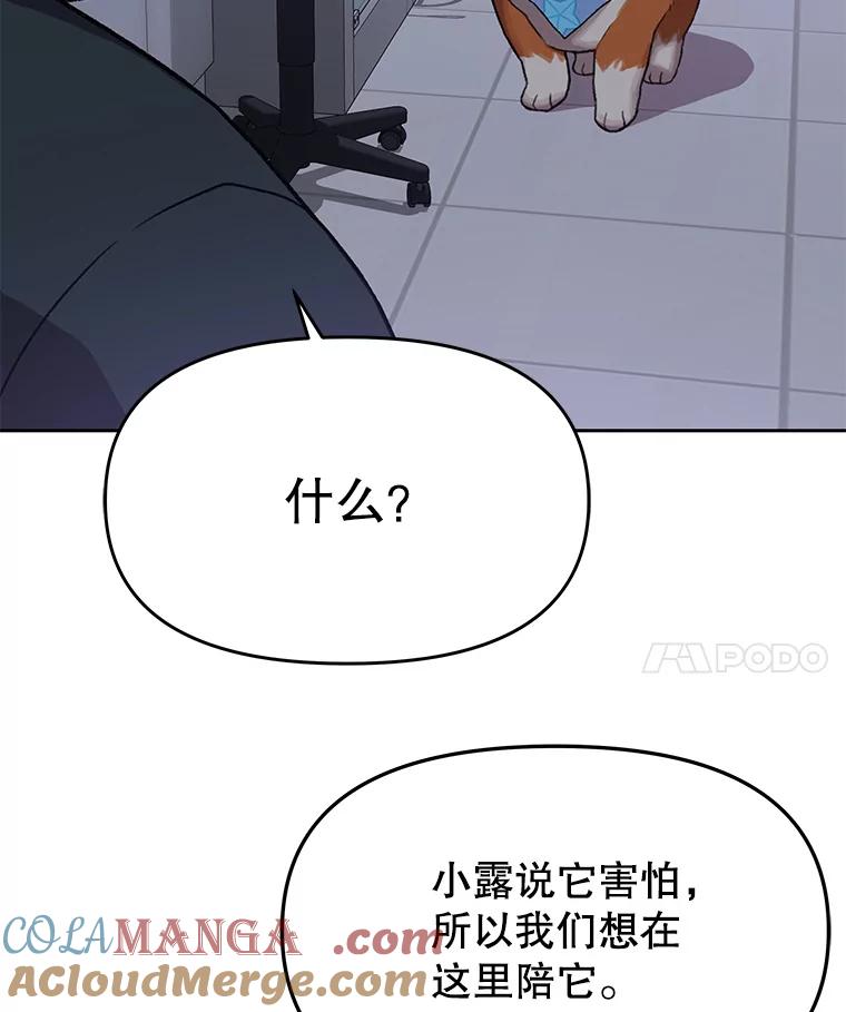 《彩虹桥守望者》100.奶奶没来 第46页