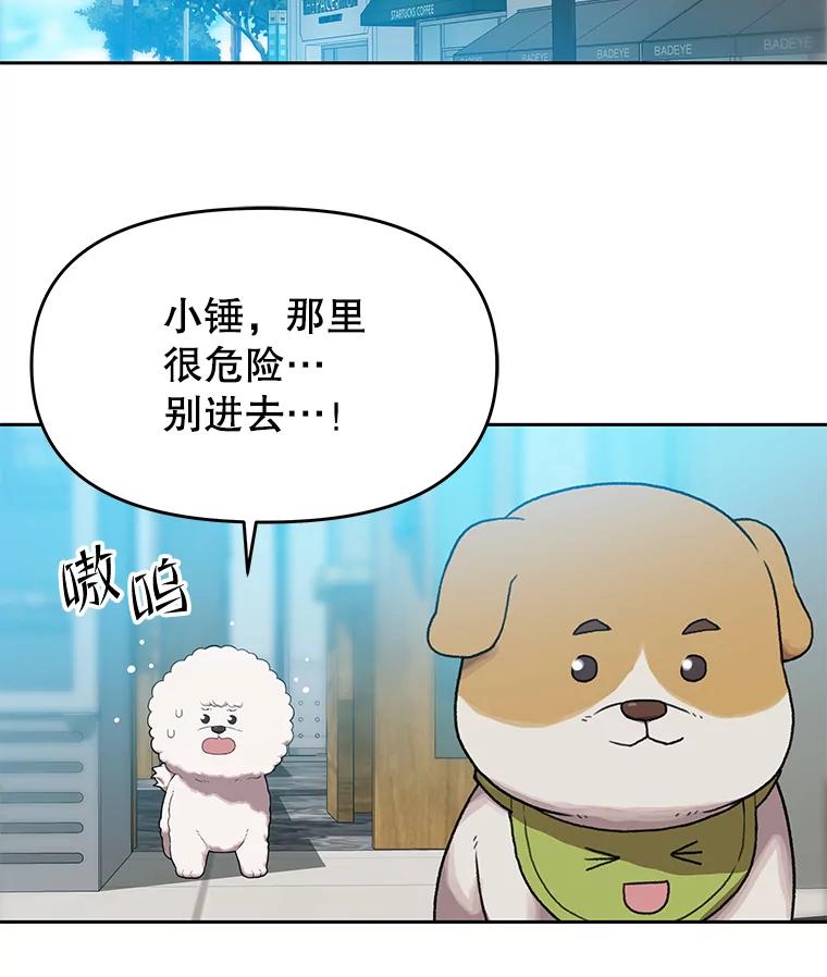 《彩虹桥守望者》100.奶奶没来 第54页