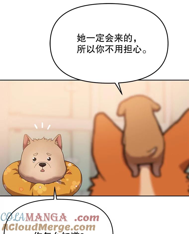 《彩虹桥守望者》100.奶奶没来 第34页