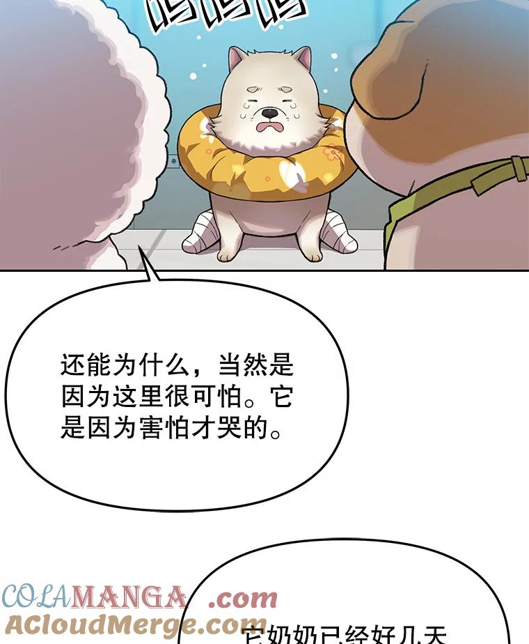 《彩虹桥守望者》100.奶奶没来 第58页