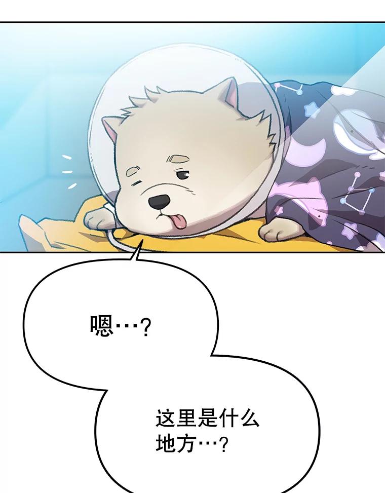 《彩虹桥守望者》100.奶奶没来 第18页