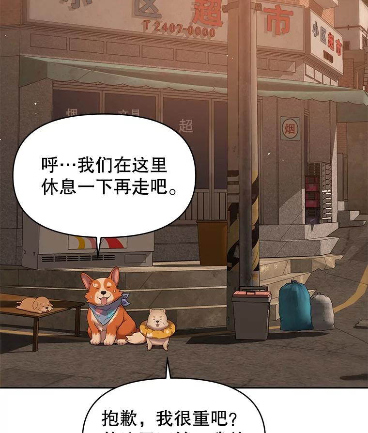 《彩虹桥守望者》101.寻找奶奶 第35页