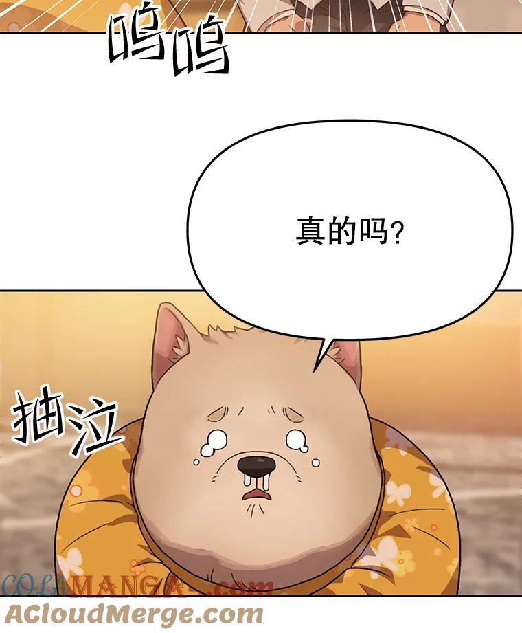 《彩虹桥守望者》101.寻找奶奶 第16页