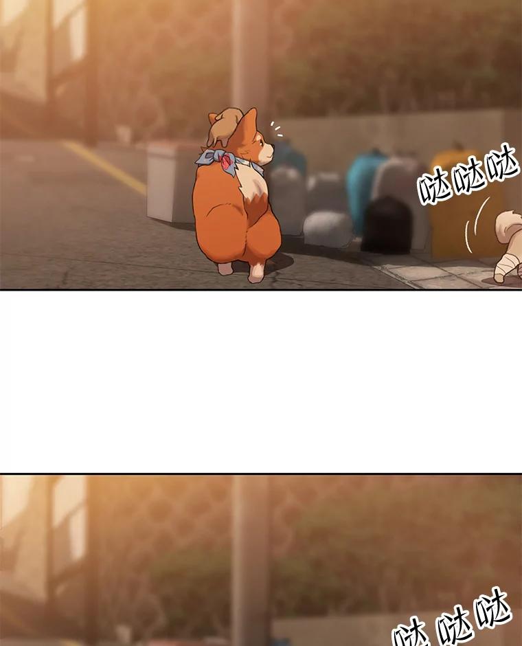 《彩虹桥守望者》101.寻找奶奶 第41页