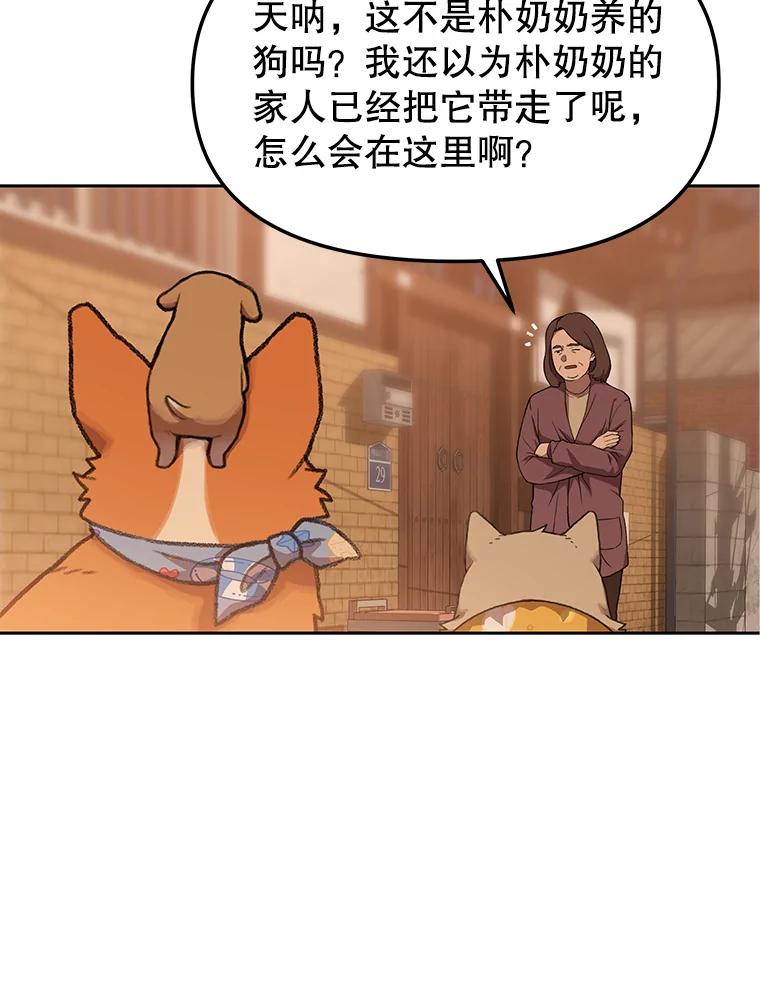 《彩虹桥守望者》101.寻找奶奶 第53页