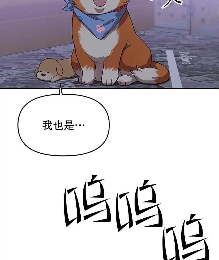 《彩虹桥守望者》101.寻找奶奶 第86页