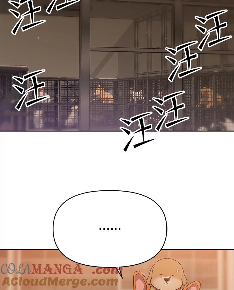 《彩虹桥守望者》101.寻找奶奶 第61页