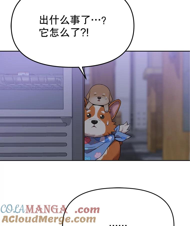 《彩虹桥守望者》101.寻找奶奶 第88页