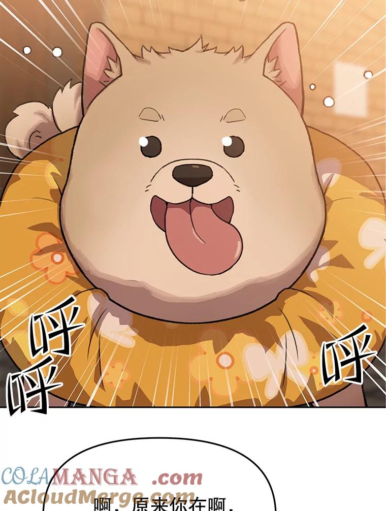 《彩虹桥守望者》101.寻找奶奶 第55页