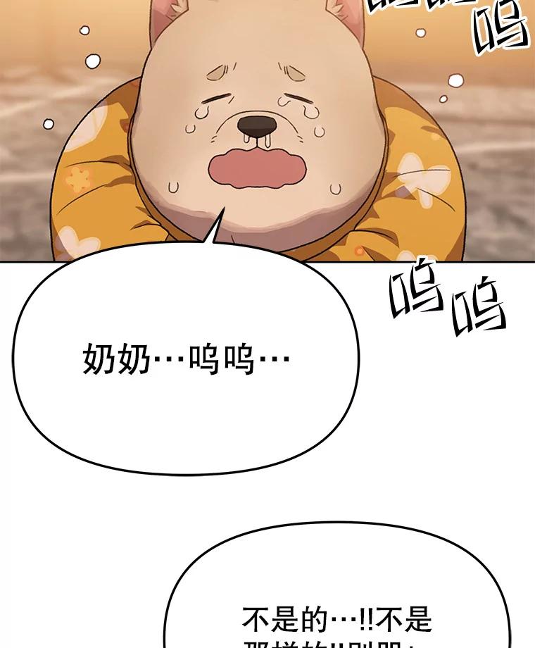 《彩虹桥守望者》101.寻找奶奶 第14页