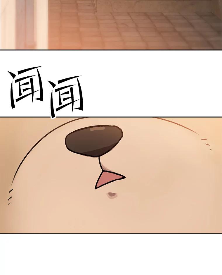 《彩虹桥守望者》101.寻找奶奶 第44页