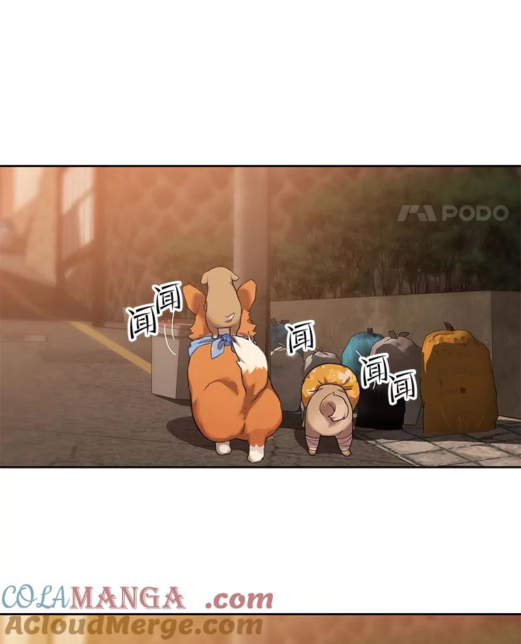 《彩虹桥守望者》101.寻找奶奶 第40页