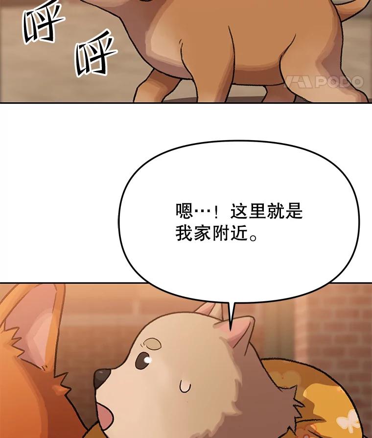 《彩虹桥守望者》101.寻找奶奶 第33页