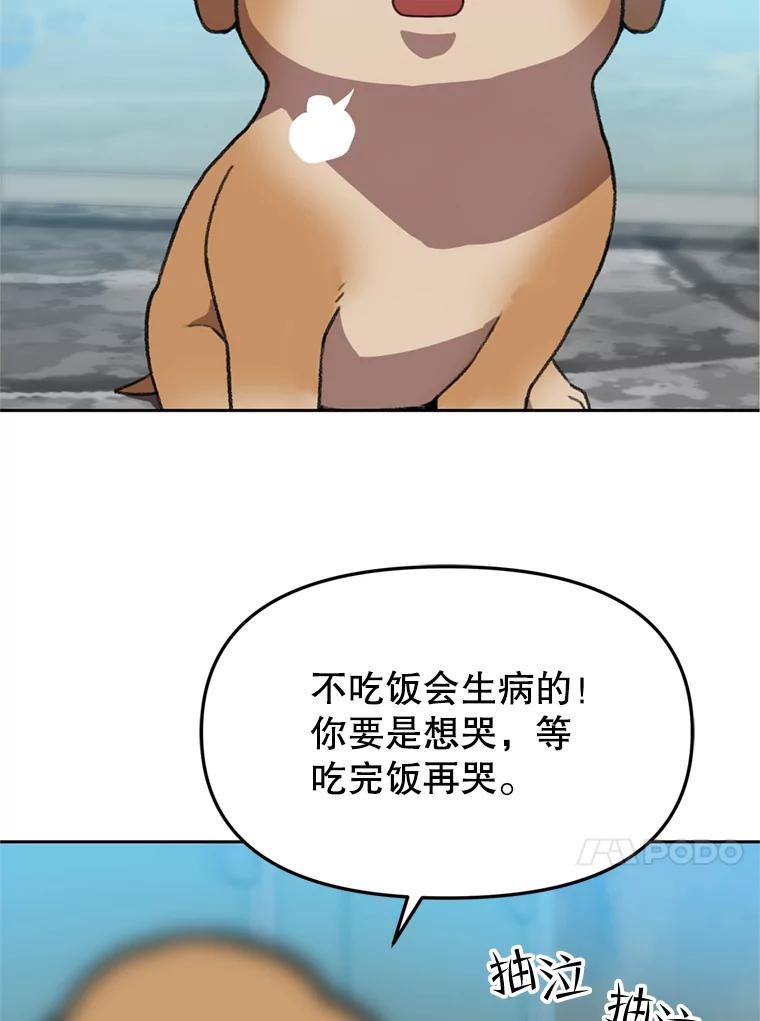 《彩虹桥守望者》102.偶遇圆团主人 第11页
