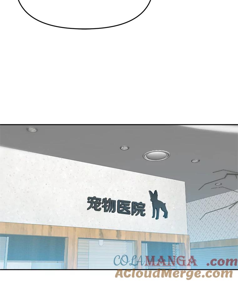 《彩虹桥守望者》102.偶遇圆团主人 第67页