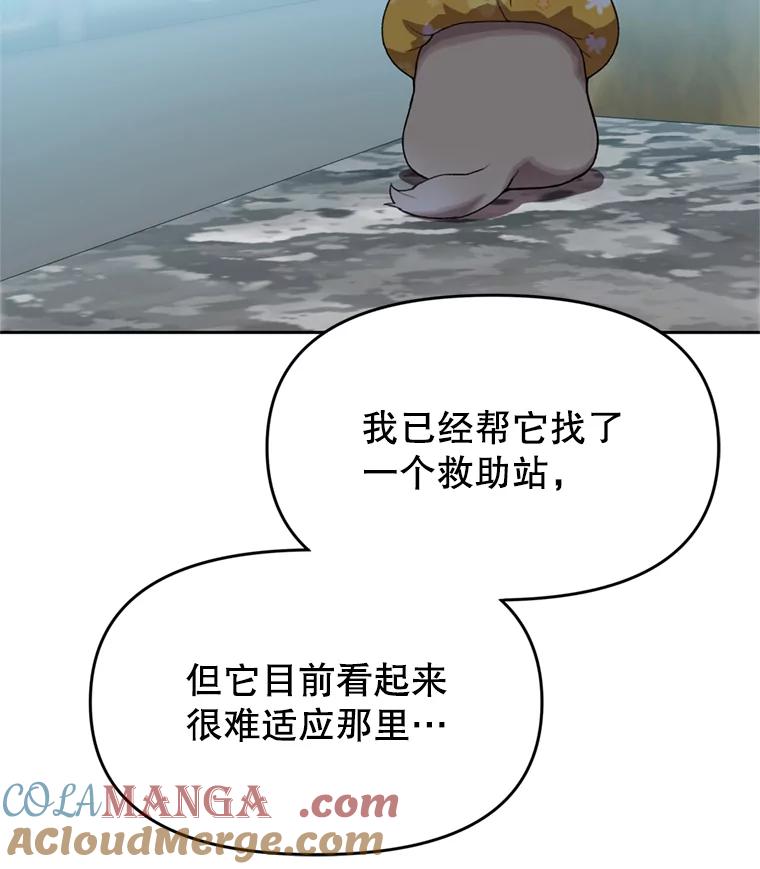 《彩虹桥守望者》102.偶遇圆团主人 第52页