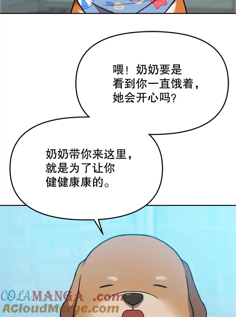 《彩虹桥守望者》102.偶遇圆团主人 第10页