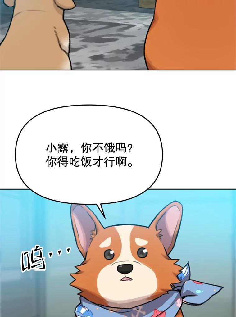 《彩虹桥守望者》102.偶遇圆团主人 第9页