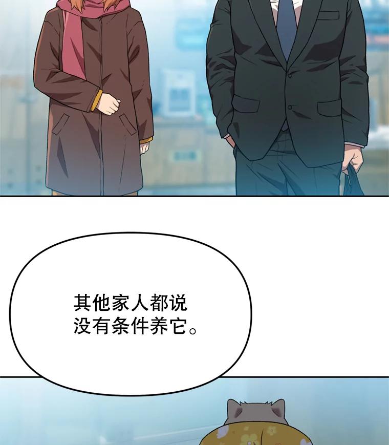 《彩虹桥守望者》102.偶遇圆团主人 第51页