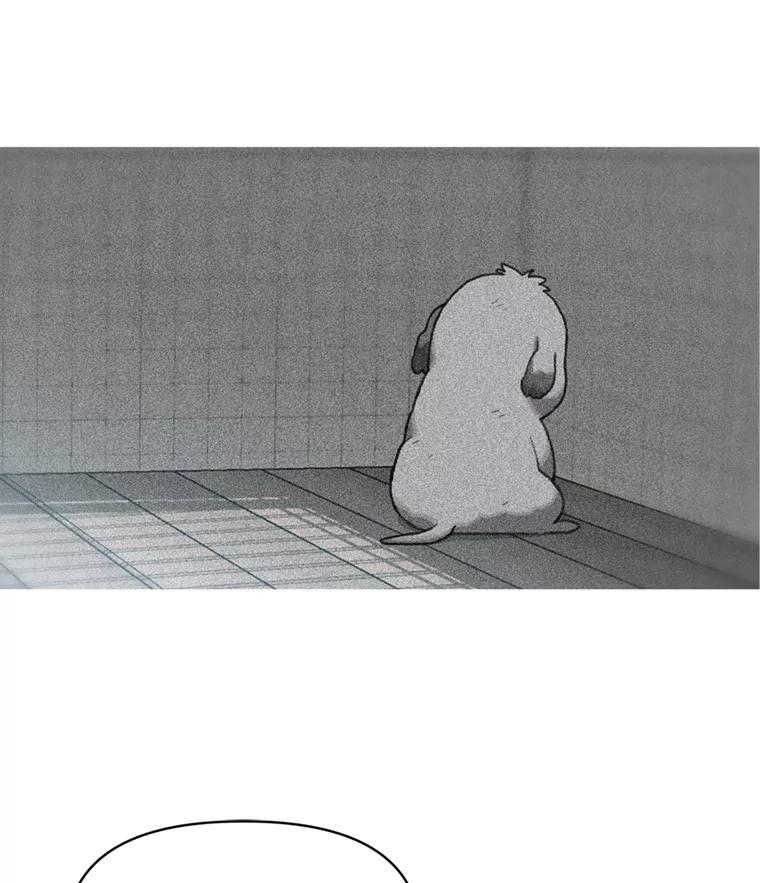 《彩虹桥守望者》102.偶遇圆团主人 第56页