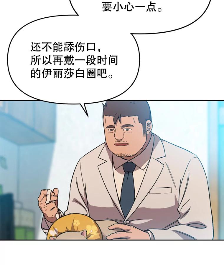 《彩虹桥守望者》102.偶遇圆团主人 第62页