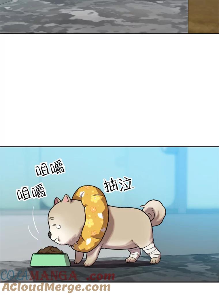 《彩虹桥守望者》102.偶遇圆团主人 第13页
