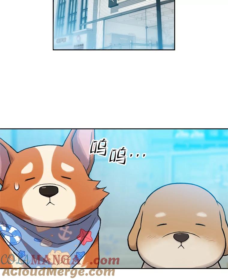 《彩虹桥守望者》102.偶遇圆团主人 第7页