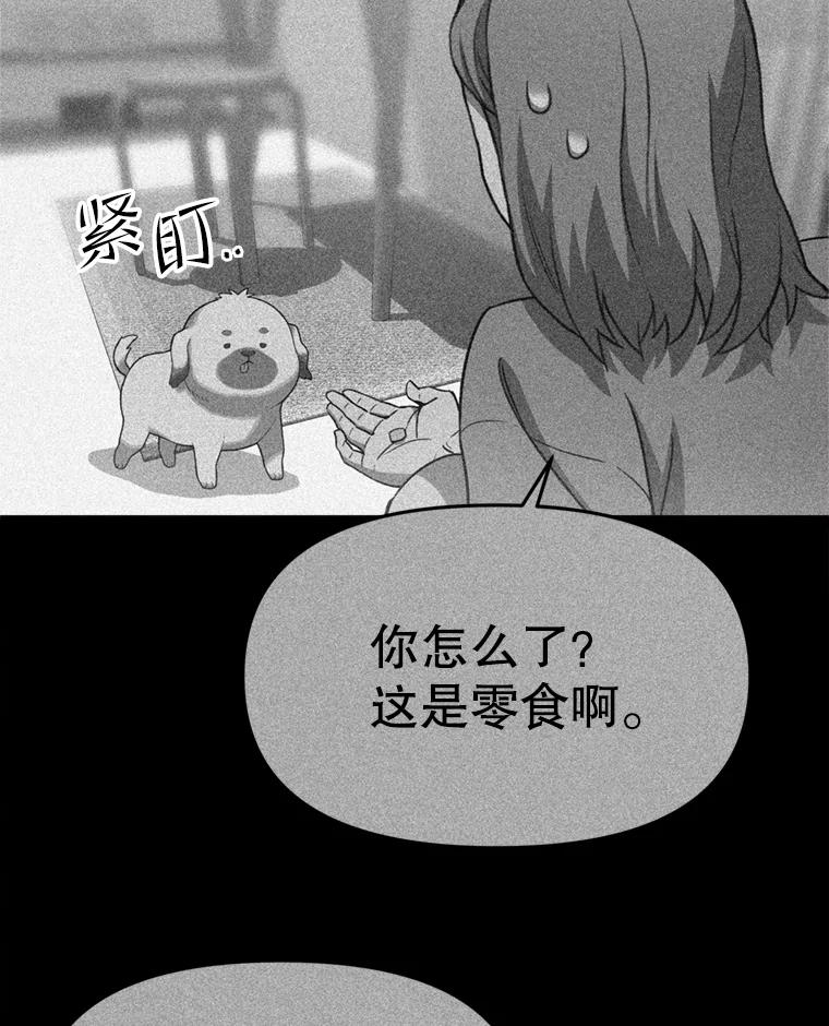 《彩虹桥守望者》103.小露被领养 第38页