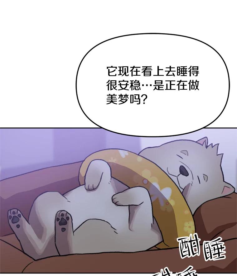 《彩虹桥守望者》103.小露被领养 第66页