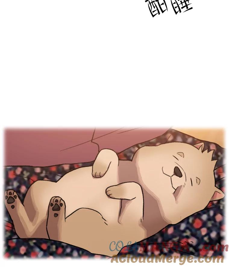 《彩虹桥守望者》103.小露被领养 第67页