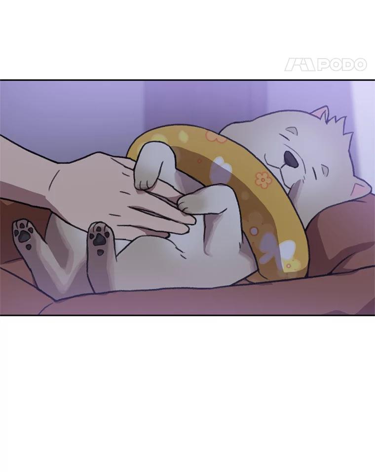 《彩虹桥守望者》103.小露被领养 第72页