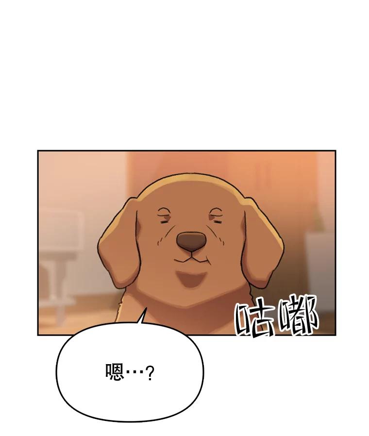 《彩虹桥守望者》104.导盲犬小云 第74页