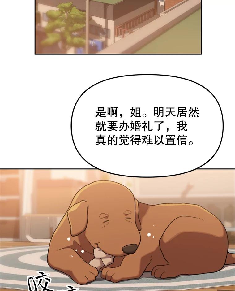 《彩虹桥守望者》104.导盲犬小云 第62页