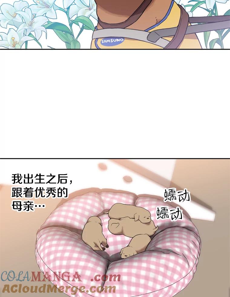 《彩虹桥守望者》104.导盲犬小云 第31页