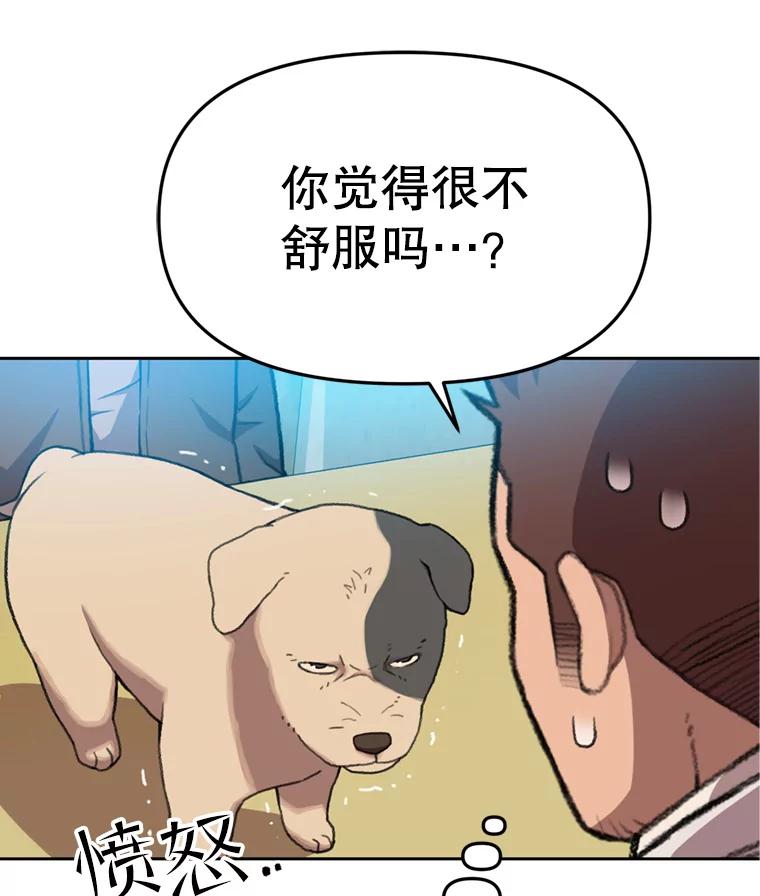 《彩虹桥守望者》104.导盲犬小云 第14页