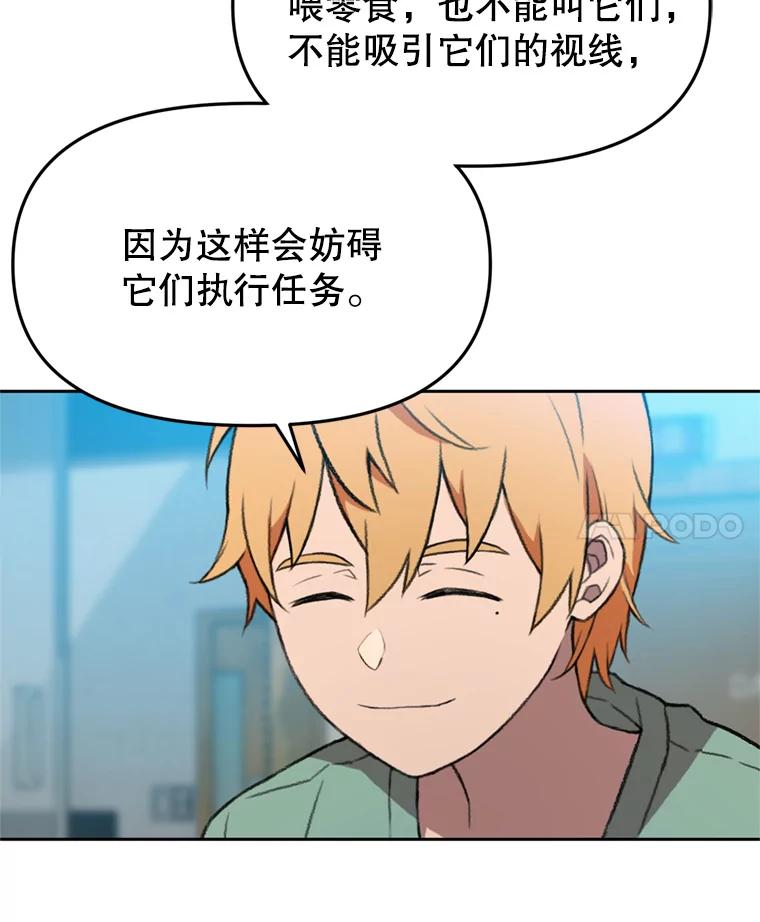 《彩虹桥守望者》104.导盲犬小云 第26页