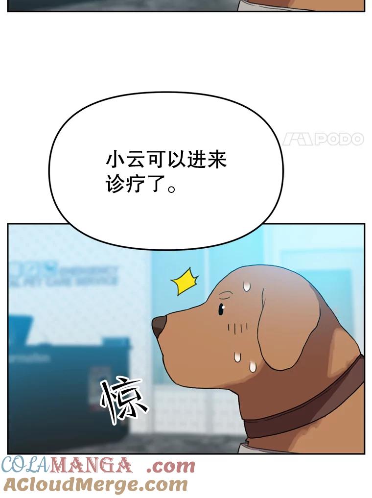 《彩虹桥守望者》104.导盲犬小云 第40页
