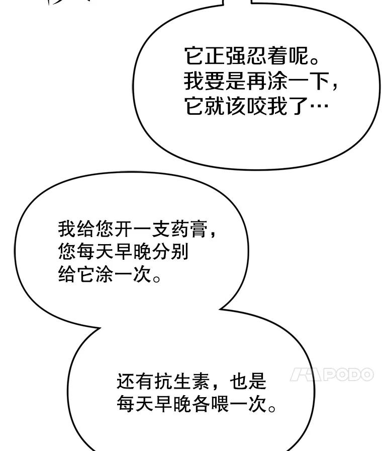 《彩虹桥守望者》104.导盲犬小云 第15页