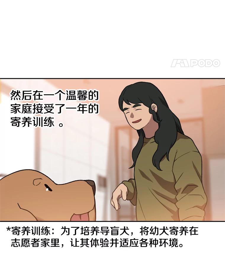 《彩虹桥守望者》104.导盲犬小云 第33页