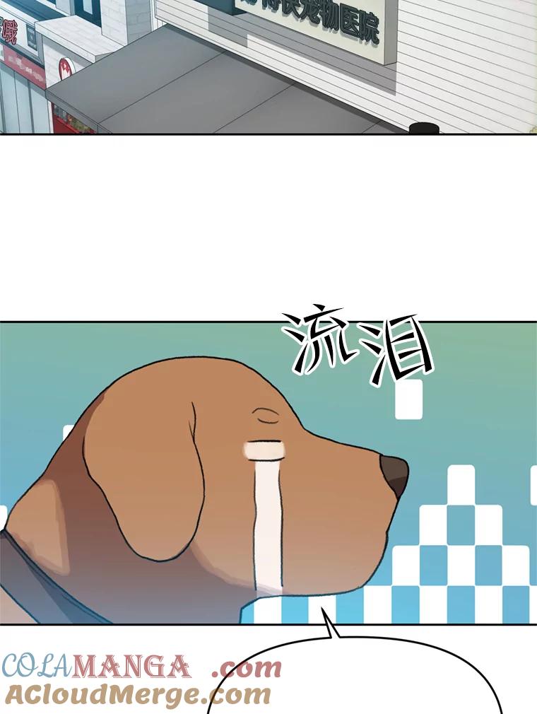 《彩虹桥守望者》104.导盲犬小云 第55页