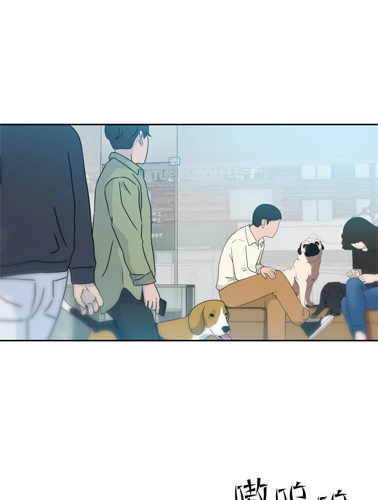 《彩虹桥守望者》104.导盲犬小云 第3页