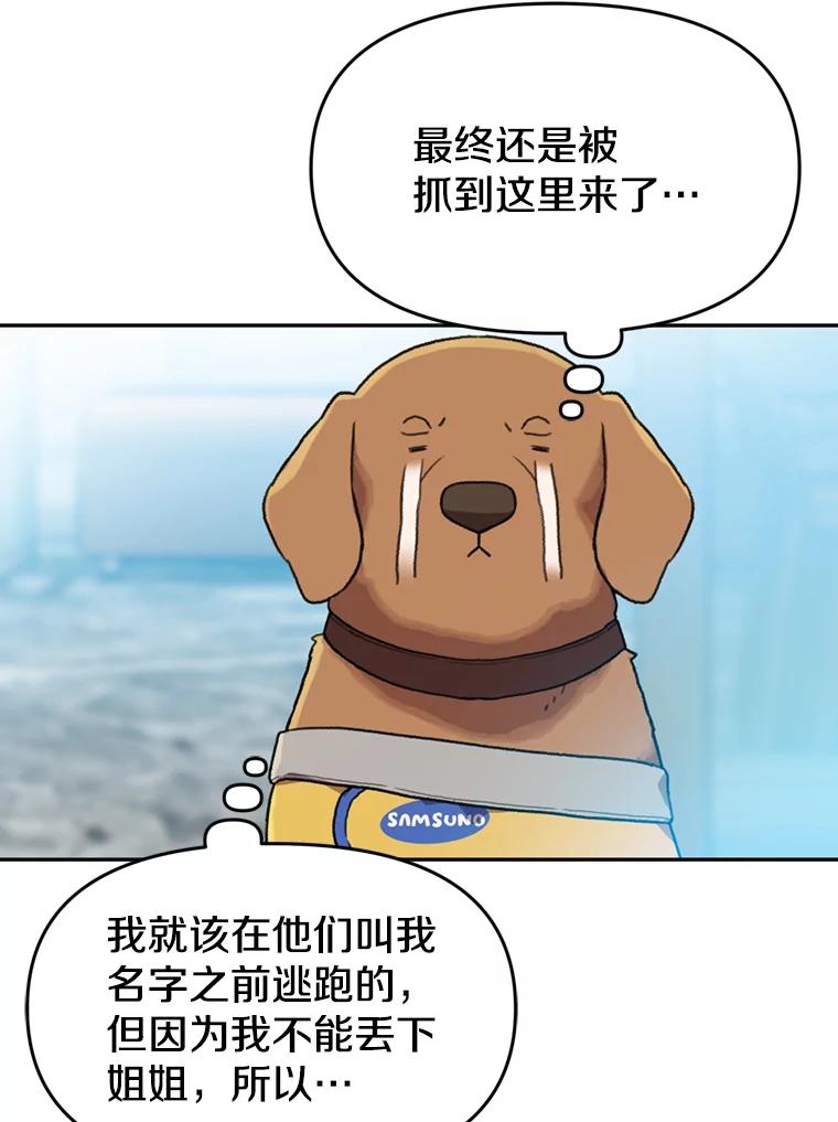 《彩虹桥守望者》104.导盲犬小云 第42页