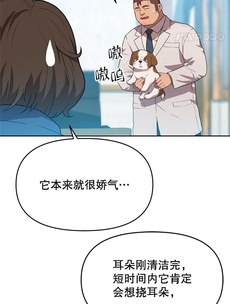 《彩虹桥守望者》104.导盲犬小云 第5页