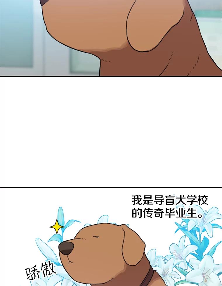 《彩虹桥守望者》104.导盲犬小云 第30页