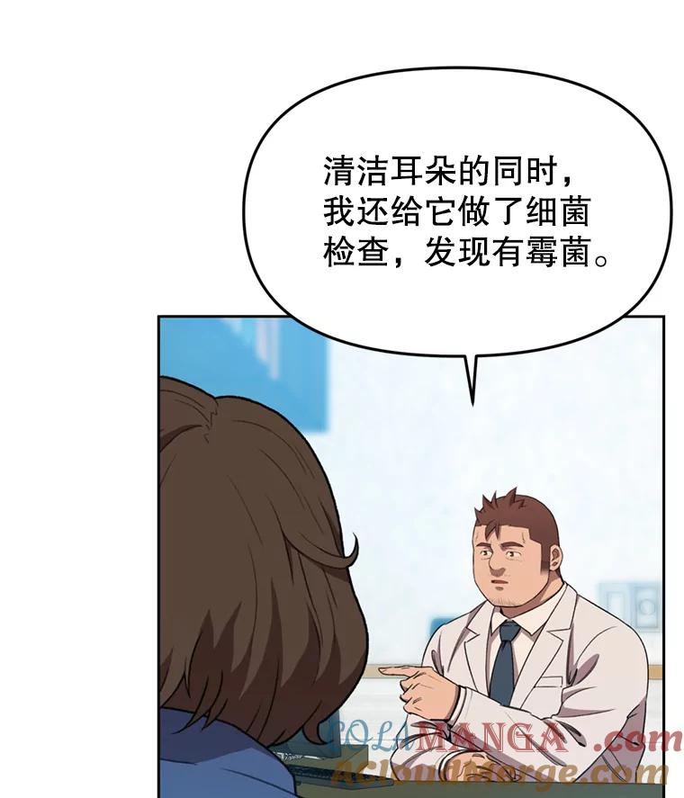 《彩虹桥守望者》104.导盲犬小云 第7页