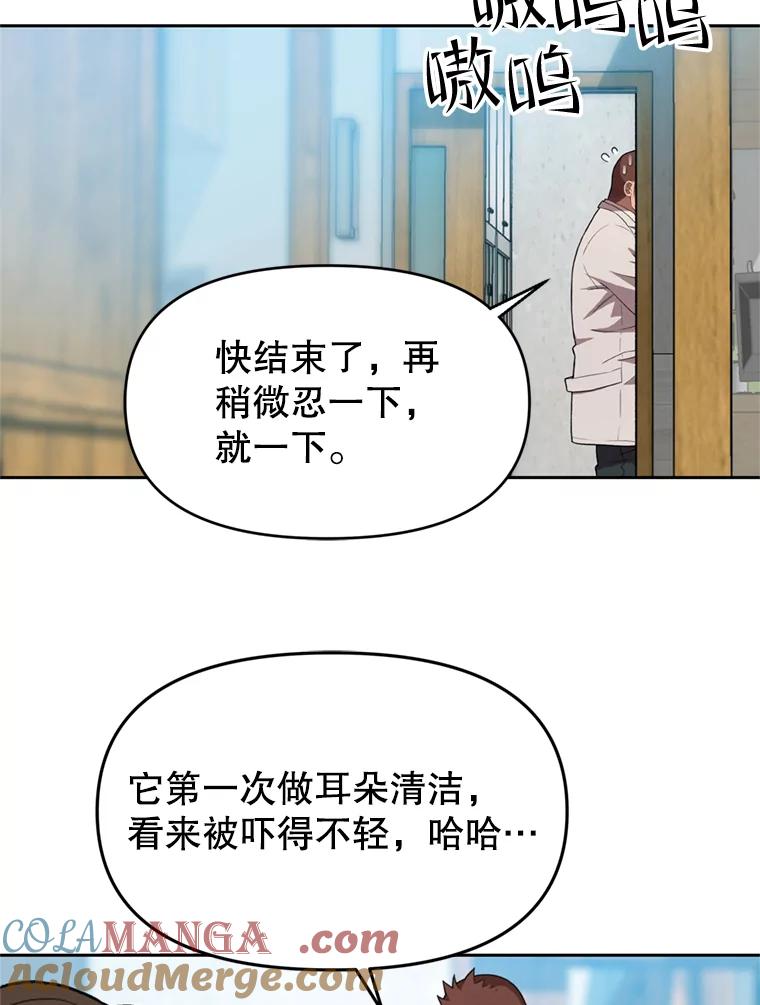 《彩虹桥守望者》104.导盲犬小云 第4页